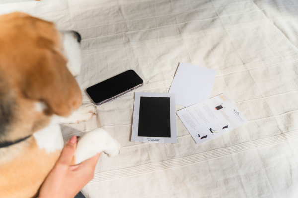 benodigdheden pootafdruk maken voor sieraad kat en hond